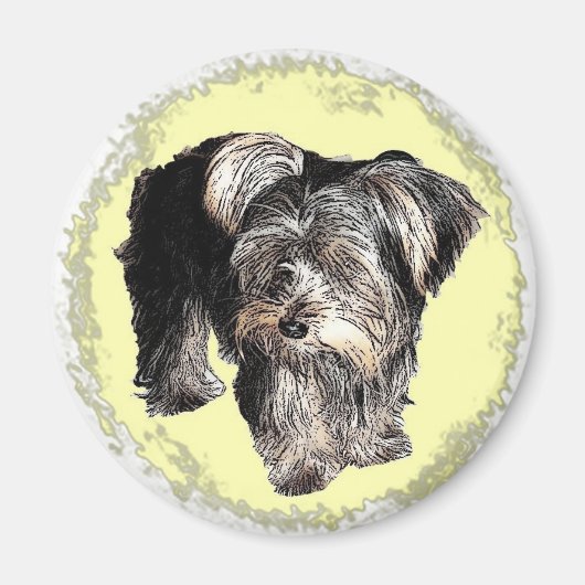 Yorkie Magnet (Devant)
