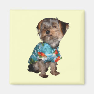 Yorkie Magnet Magneet