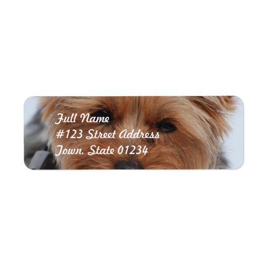 Yorkie Mailing Labels (Voorkant)