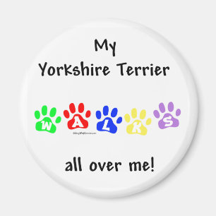 Yorkie Marche Sur Vous - Magnet