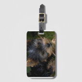 yorkie met stok bagagelabel (Voorkant (verticaal))