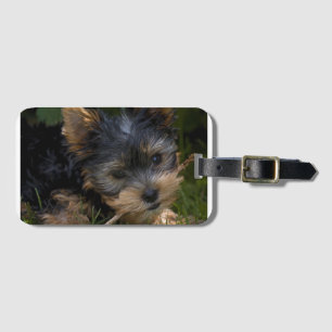 yorkie met stok bagagelabel