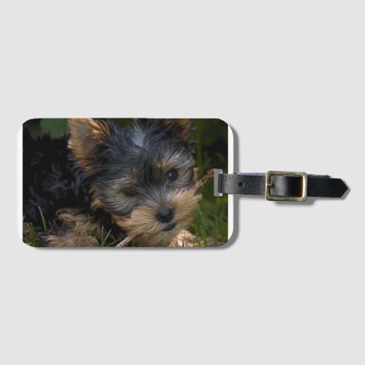 yorkie met stok bagagelabel (Voorkant (horizontaal))