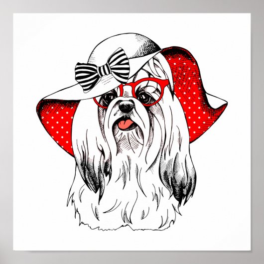 Yorkie Mode Shoot Poster (Voorkant)