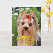 Yorkie Moederdag Kaart (Gele Bloem)