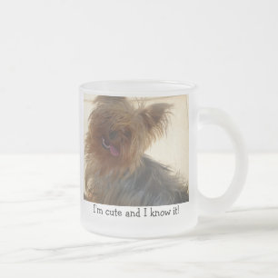 Yorkie Mok