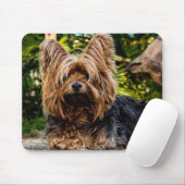 Yorkie Muismat (Met muis)
