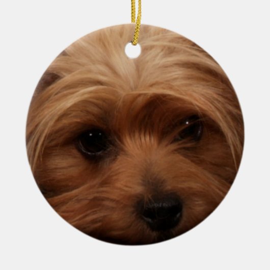 Yorkie of je Dog Afbeelding Keramisch Ornament (Voorkant)