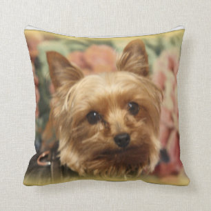 Yorkie Pillow Kussen