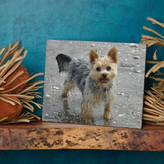 Yorkie Plaque Fotoplaat (Zijkant)