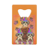 Yorkie Poo (Dos)