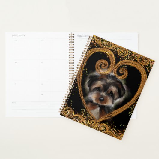 Yorkie Poo (Devant avec enveloppe)