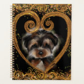 Yorkie Poo (Devant)