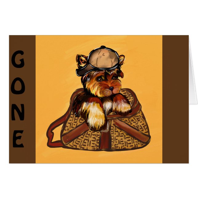 YORKIE POO (Devant horizontal)