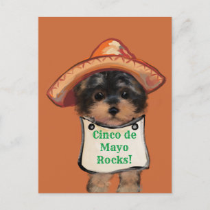 Yorkie Poo Briefkaart