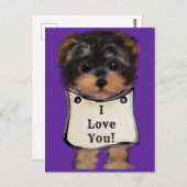 Yorkie Poo Briefkaart (Voorkant / Achterkant)