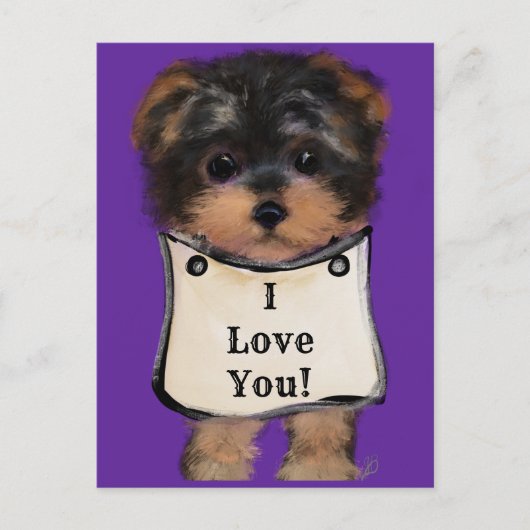 Yorkie Poo Briefkaart (Voorkant)