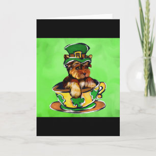 Yorkie Poo Kaart