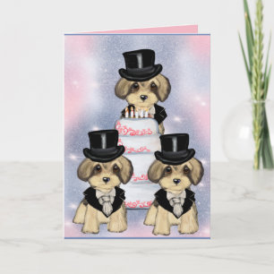 Yorkie Poo Kaart