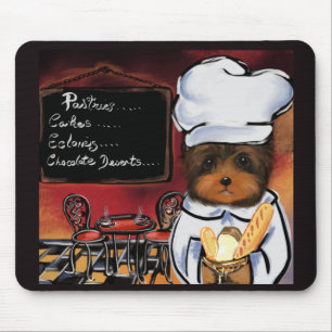 YORKIE POO KOK  MUISMAT