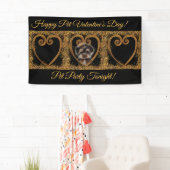 Yorkie Poo Spandoek (Insitu)