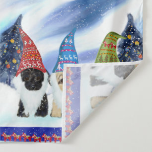YORKIE POO WANDKLEED