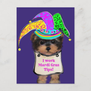 Yorkie Poo y Briefkaart