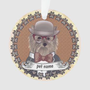 Yorkie porte des lunettes