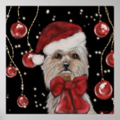 Yorkie Poster (Voorkant)