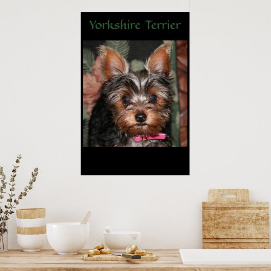Yorkie Poster (Keuken)