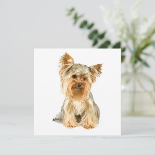 Yorkie Puppy Invitations Kaart (Staand voorkant)