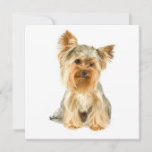 Yorkie Puppy Invitations Kaart (Voorkant)