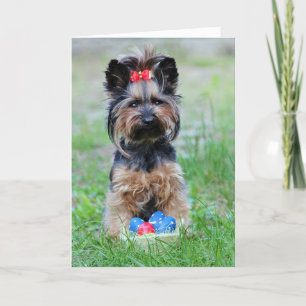 Yorkie Puppy met paaseieren Feestdagen Kaart
