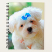 Yorkie Puppy Planner (Voorkant)