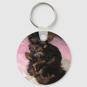 Yorkie Pups Sleutelhanger