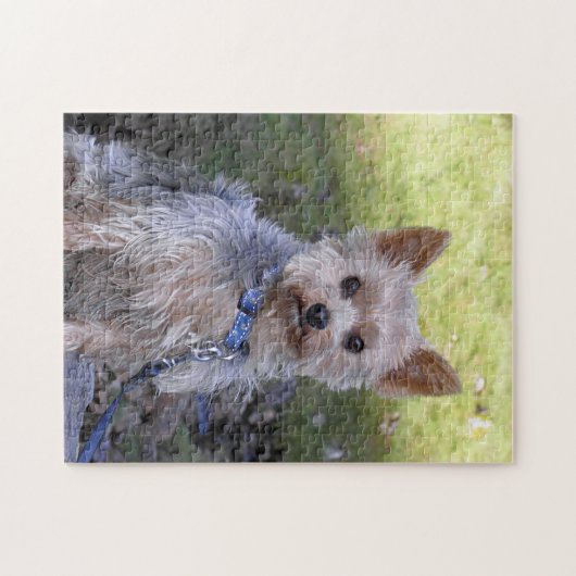 Yorkie Puzzle Legpuzzel (Horizontaal)