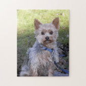 Yorkie Puzzle Legpuzzel (Verticaal)