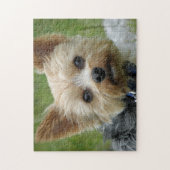 Yorkie Puzzle Legpuzzel (Verticaal)