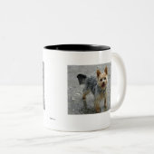 Yorkie Tweekleurige Koffiemok (Voorkant rechts)