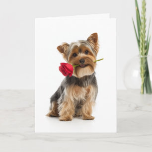 Yorkie Valentine – Kleine Hond, Grote Liefde Kaart