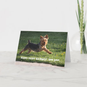 YORKIE-VERJAARDAG KAART