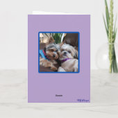 Yorkie vs. Shih Tzu Kaart (Achterkant)