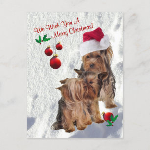 Yorkie we wensen je een vrolijk kerst Briefkaart 2