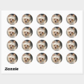 Yorkie, Yorkies heersen! Ronde Sticker (Vel)