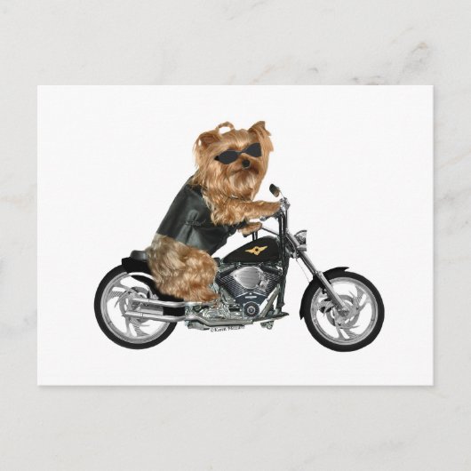 Yorkie Yorkshire Terrier Biker Briefkaart (Voorkant)