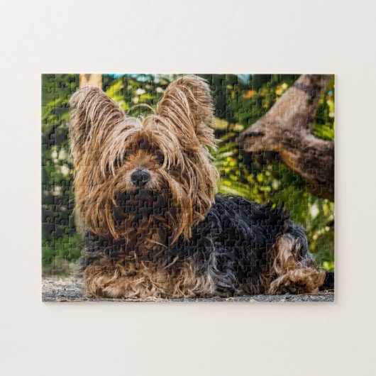 Yorkie Yorkshire Terrier Dog Legpuzzel (Horizontaal)