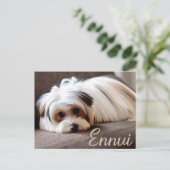 Yorkie, Yorkshire Terrier, Ervaren Ennui Briefkaart (Staand voorkant)