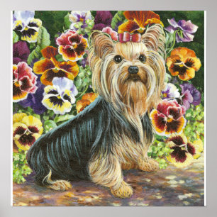 Yorkie Yorkshire Terrier in Pansies Print