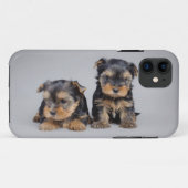 Yorkies Case-Mate iPhone Case (Achterkant (horizontaal))