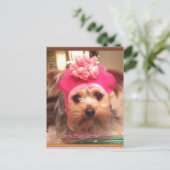 Yorkies in Petten Briefkaart (Staand voorkant)